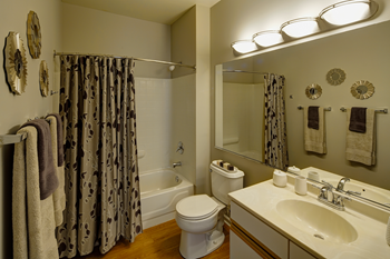 Full size shower and tub